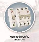 โหลดเช็นเตอร์ SAFE T CUT  (ตัดวงจรกระแสไฟฟ้าลงดินอัตโนมัติ)