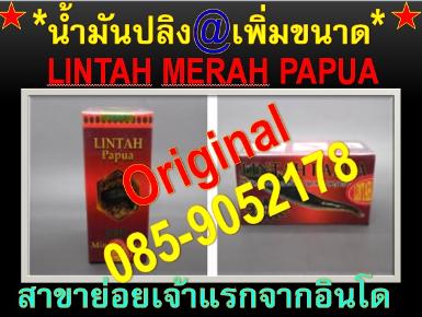++น้ำมันปลิง Lintah merah papua ไทย++085-9052178