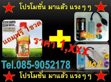 ++Mandy โปรโมชั่น++085-9052178++